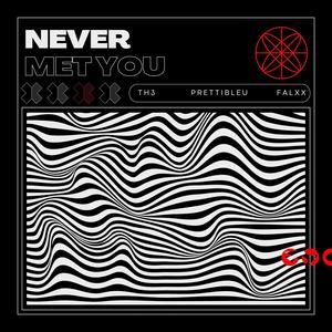 Never Met You (feat. Prettibleu) (Explicit)