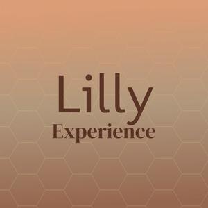 Lilly Experience