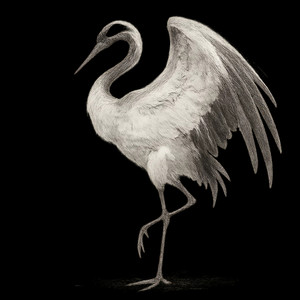 K0T Maler (Explicit)