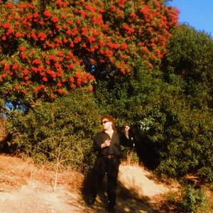 DAYLIGHT (feat. Dminez)