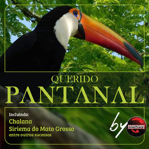 Querido Pantanal