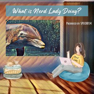 What is Nerd Lady Doing?