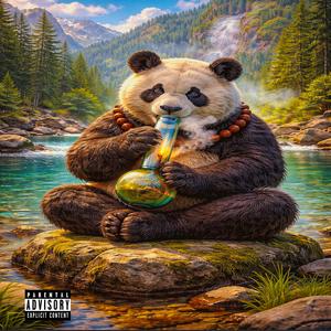 A PANDA THAT KNOWS KUNG FU (Explicit)