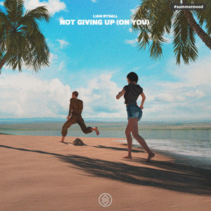 Not Giving Up (On You) (Instrumental Mix)