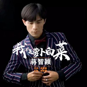 我不是萝卜白菜