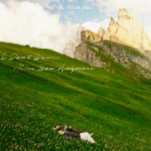 I Don't Wanna Miss You Anymore