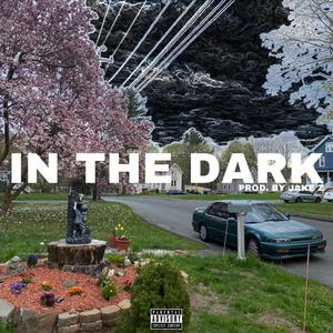 In The Dark (Explicit)