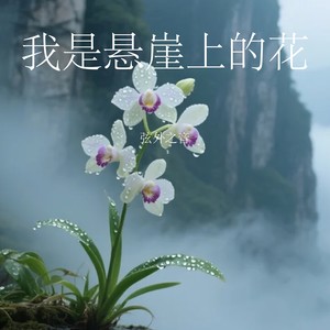 我是悬崖上的花-弦外之音