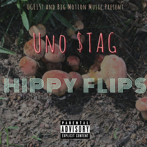 Hippy FLIP (Explicit)