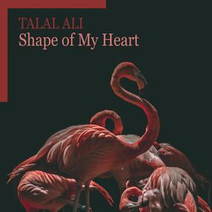 Shape of My Heart