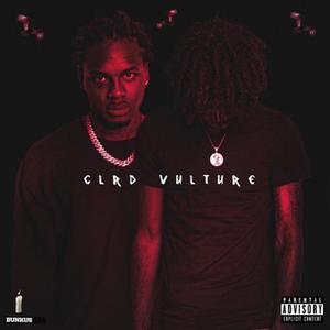 CLRD VULTURE (Explicit)