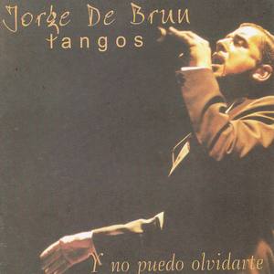 Y no puedo olvidarte