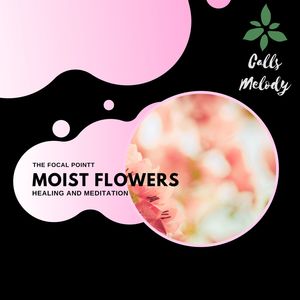 Moist Flowers - Healing And Meditation