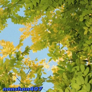 在这（prod by Morrow)