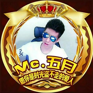 情感LMM