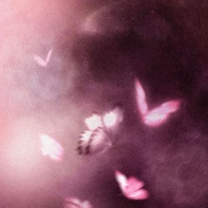 SICK TO MY STOMACH (Explicit)