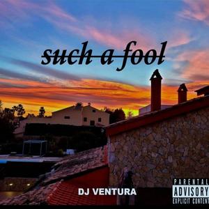 Such A Fool (Explicit)