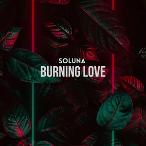 Burning Love