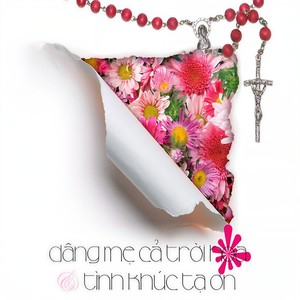 Xót Thương Người (feat. Trần Phi)