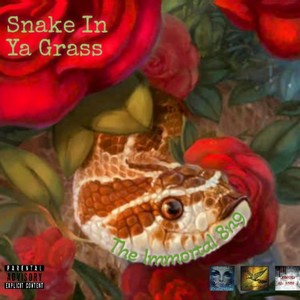 Snake In Ya Grass (Explicit)