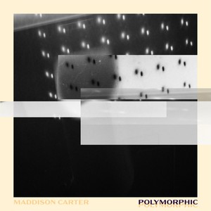 Polymorphic