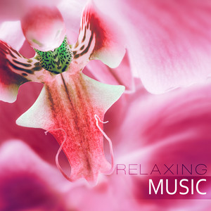 Relaxing Music – Wellness Music Spa, Pure Mind and Body with Healing Massage Music, Harmony of Senses, Therapy Music for Relax, Inner Peace