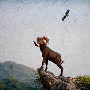 Intro/OG Bruno type beat