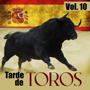 Tarde de Toros (VOL 10)