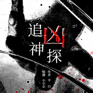 第10章-第二个男朋友 (DJ长音频)封面