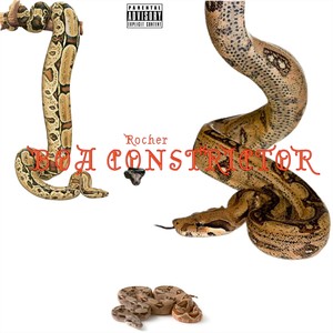 Boa Constrictor (Explicit)