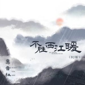不胜西江暖 (DJ版)封面