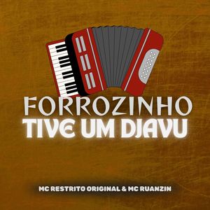 Forrozinho Tive um Djavu (Explicit)