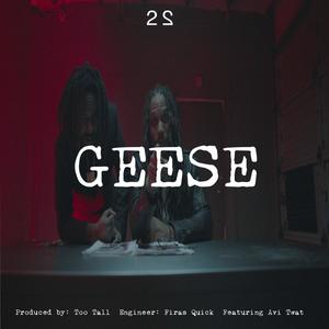 Geese (feat. Avi Twat) (Explicit)