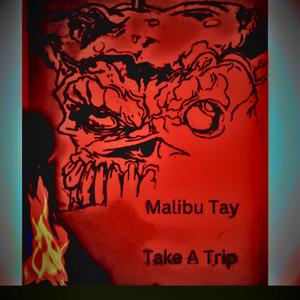 Take A Trip (Explicit)