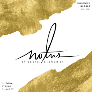 In Flight - In Flight: No. 4, Flying Inside Your Own Body