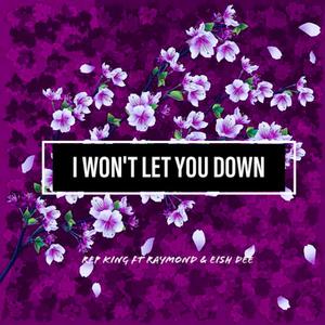 I Won't Let You Down (feat. Raymond & Eish Dee)