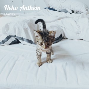 Neko Anthem