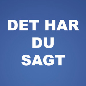 Det har du sagt