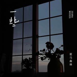 一些-斑马森林