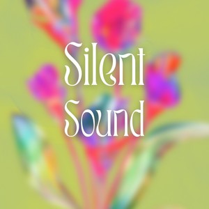 Silent Sound