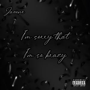 i'm sorry that i'm so krazy (Explicit)