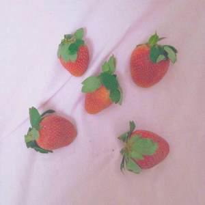 李佳隆-李佳隆-BERRY (Lil Orange remix)