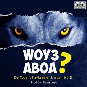 Wo Y3 Aboa? (feat. NastyBeats, Dolla, JE4555 & J. Vrush) (Explicit)