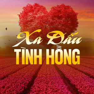 Đường Một Chiều