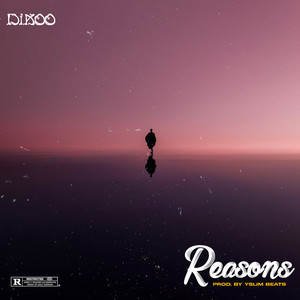 Reasons (Explicit)