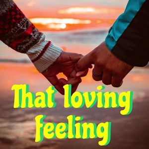 That loving feeling (Radio Edit)