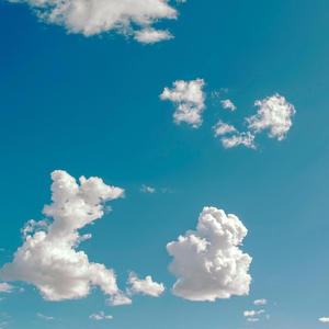 Your Love is All I Need