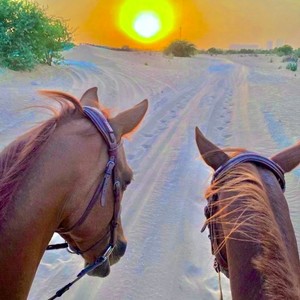 塞北山巅飞雪纯白的她