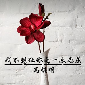 我不想让你受一点委屈 (伴奏)