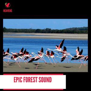 Epic Forest Sound